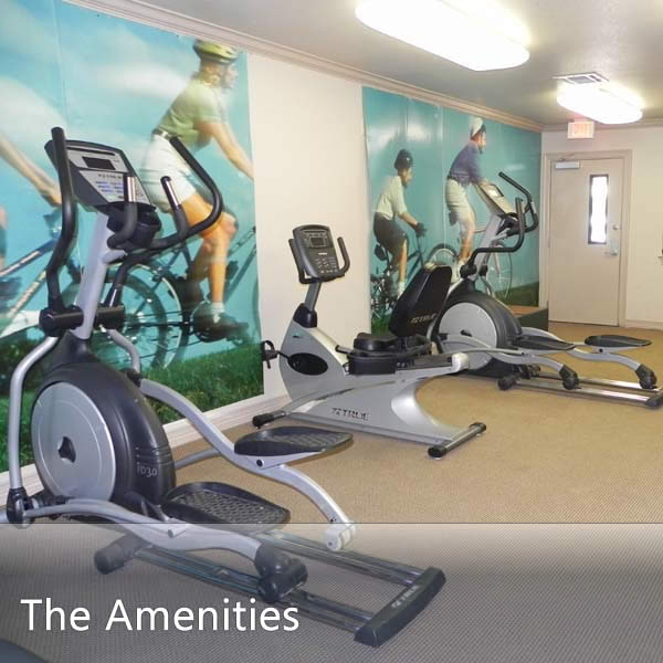 Features & Amenities